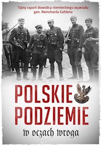 Polskie podziemie w oczach wroga -  - książka