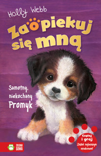 Zaopiekuj się mną. Samotny, niekochany Promyk - Holly Webb - ebook