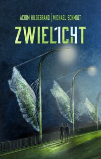 Zwielicht 14 - Achim Hildebrand - ebook