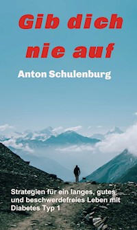 Gib dich nie auf - Anton Schulenburg - ebook