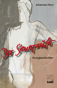 Der Steuerprüfer - Johannes Horn - ebook