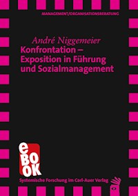 Konfrontation – Exposition in Führung und Sozialmanagement - André Niggemeier - ebook