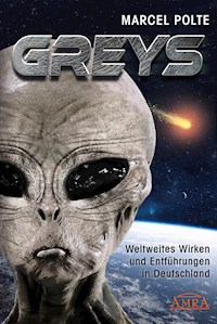GREYS - Marcel Polte - ebook