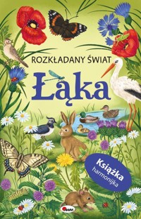 Łąka. Rozkładany świat (książka harmonijka) - zbiorowa praca - książka