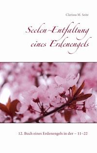 Seelen~Entfaltung eines Erdenengels - Clarissa M. Seite - ebook