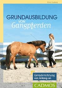 Grundausbildung von Gangpferden - Kirsti Ludwig - ebook