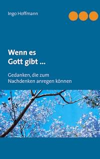 Wenn es Gott gibt ... - Ingo Hoffmann - ebook
