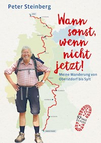 Wann sonst, wenn nicht jetzt! - Peter Steinberg - ebook