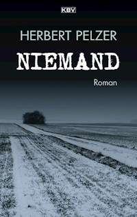 Niemand - Herbert Pelzer - ebook
