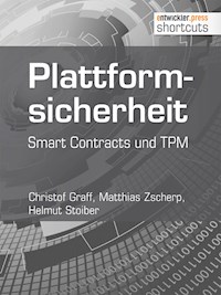 Plattformsicherheit - Christoff Graff - ebook