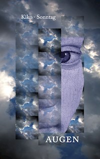 Augen - Hannes Sonntag - ebook
