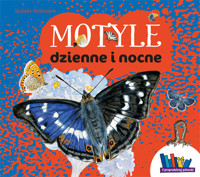Motyle dzienne i nocne - Sielezniew Izabela - książka