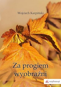 Za progiem wyobraźni - Wojciech Karpiński - książka