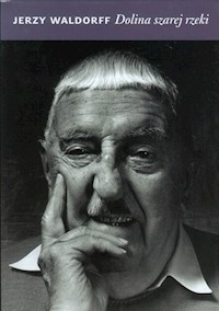 Dolina szarej rzeki - Waldorff Jerzy - ebook + książka