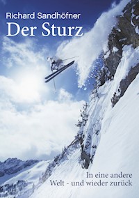 Der Sturz - Richard Sandhöfner - ebook