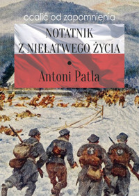 Notatnik z niełatwego życia - Patla Antoni - książka