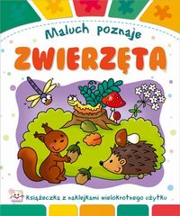 Maluch poznaje Zwierzęta - Podgórska Anna - książka