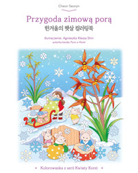 Przygoda zimową porą. Kolorowanka z serii Kwiaty Korei - Cheon Seonjin - książka