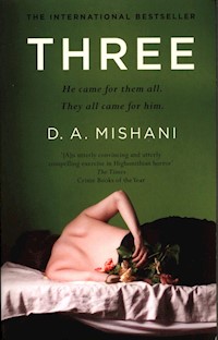 Three - Mishani D.A. - książka