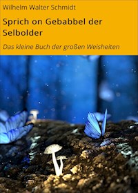 Sprich on Gebabbel der Selbolder - Wilhelm Walter Schmidt - ebook