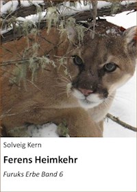 Ferens Heimkehr - Solveig Kern - ebook