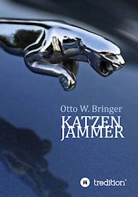 Katzenjammer - Otto W. Bringer - ebook