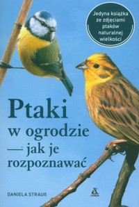 Ptaki w ogrodzie — jak je rozpoznawać - Straub Daniela - książka