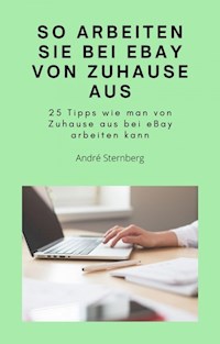 So arbeiten Sie bei eBay von zu Hause aus - Andre Sternberg - ebook
