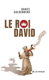 Le roi David - Daniel Goldenberg - ebook