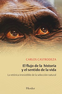 El flujo de la historia y el sentido de la vida - Carlos Castrodeza Ruíz de la Cuesta - ebook
