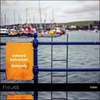 Domysły - Balcerzan Edward - książka