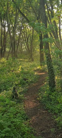 Anders Leben - Natascha Neumann - ebook