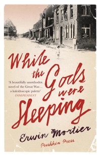 While the Gods Were Sleeping - Erwin Mortier - ebook
