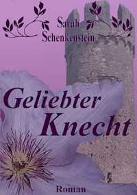 Geliebter Knecht - Sarah Schenkenstein - ebook