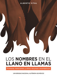 Los nombres en El Llano en llamas. Primeras menciones y otros recursos onomásticos - Alberto Vital - ebook