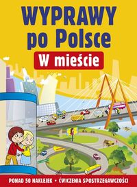 Wyprawy po Polsce W mieście - Cichy Ludwik - książka