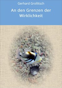 An den Grenzen der Wirklichkeit - Gerhard Grollitsch - ebook