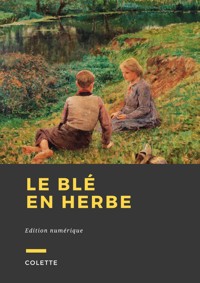 Le Blé en herbe - Sidonie-Gabrielle Colette - ebook