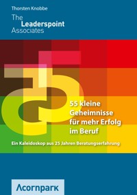 55 kleine Geheimnisse für mehr Erfolg im Beruf - Thorsten Knobbe - ebook