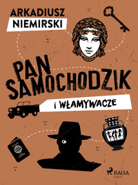Pan Samochodzik i włamywacze - Niemirski Arkadiusz - ebook