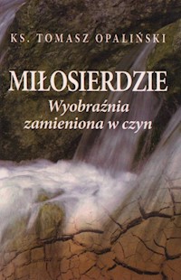 Miłosierdzie - Opaliński Tomasz - książka
