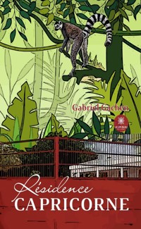 Résidence Capricorne - Gabriel Gachen - ebook