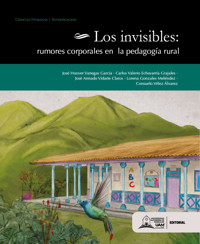 Los invisibles - José Hoover Vanegas García - ebook