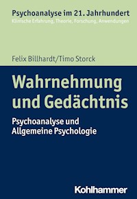 Wahrnehmung und Gedächtnis - Timo Storck - ebook