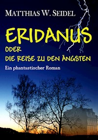 Eridanus oder die Reise zu den Ängsten - Matthias W. Seidel - ebook