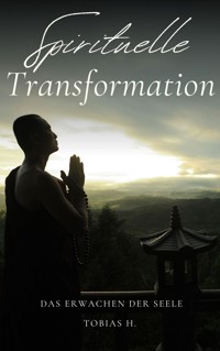 Spirituelle Transformation - das Erwachen der Seele - Tobias Hopfmüller - ebook