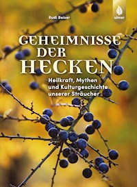 Geheimnisse der Hecken - Rudi Beiser - ebook