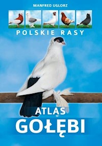 Atlas gołębi Polskie rasy - Uglorz Manfred - książka