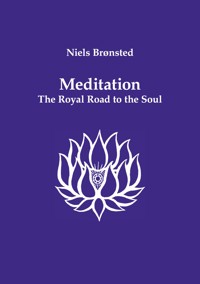 Meditation - Niels Brønsted - ebook
