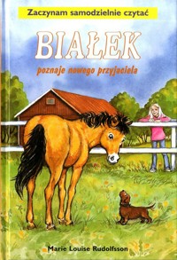 Białek poznaje nowego przyjaciela - Marie-Louise Rudolfsson - ebook